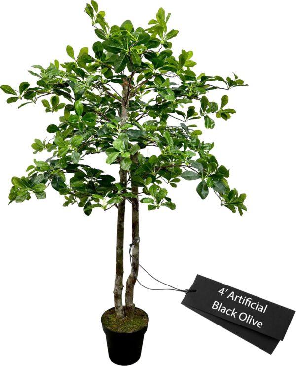 4ft Handmade Italian Black Olive Leaf Tree with Real Wood Trunks