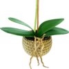 15" Artificial Orchid in Gold Pot for Home Decor (White) - Image 4