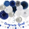 2025 Graduation Party Decor – 21pcs Navy/Silver Congrats Set with Banner, Tassels & Pom Poms - Image 4