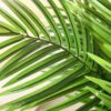 2-Pack 6ft Artificial Areca Palm Trees for Indoor/Outdoor Decor - Image 2