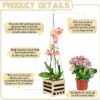 Wooden Orchid Hanging Planter with 20" Chain, 6" Basket (1 Set) - Image 4