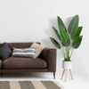 5 Ft, Faux Tropical Palm Tree with Tall Planter - Image 5