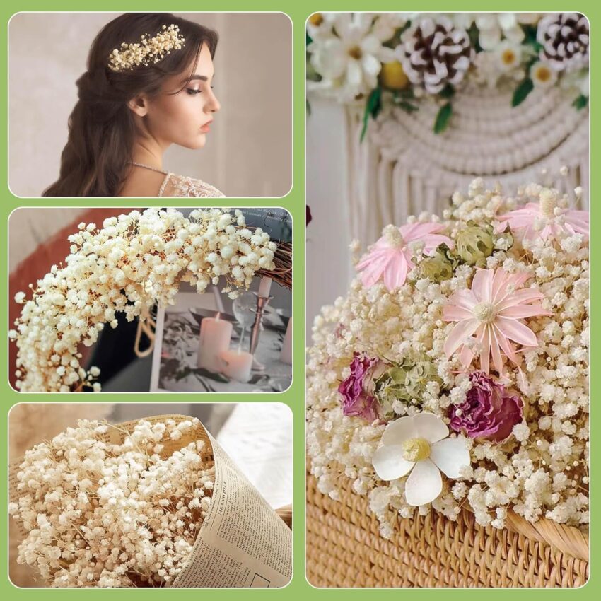 2000+ Ivory Dried Baby’s Breath – 17" Natural Gypsophila Stems for Wedding, Vase Filler & DIY Décor