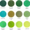12 Green Oil-Based Colored Pencils – Pre-Sharpened Set for Drawing & Coloring - Image 7