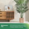 2-Pack 6ft Artificial Areca Palm Trees for Indoor/Outdoor Decor - Image 3