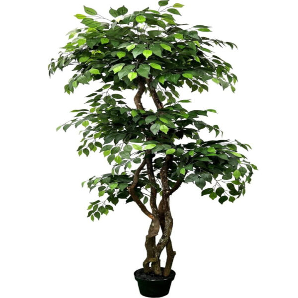 6.5ft Handmade 3-Tier Ficus Tree with Real Wood Trunks
