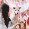 "42 Pcs Mini Colorful Party Hats with Pom Poms – Adjustable Cone Caps for Stuffed Animals & Holidays" - Image 3