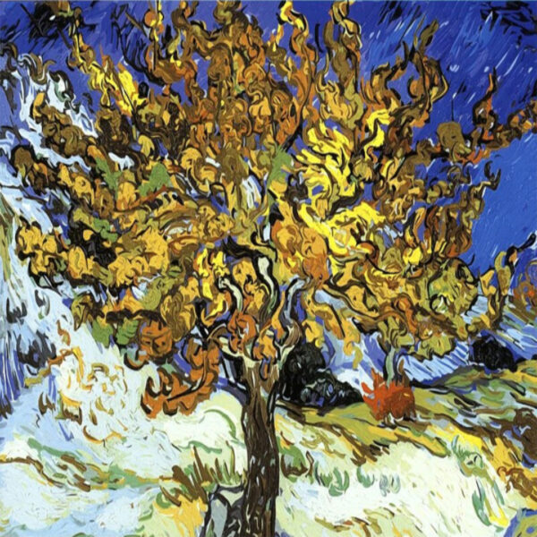 Paint by Number Van Gogh The Mulberry Tree by Vincent Van Gogh 1889 Famous Paintings DIY Kit for Adults