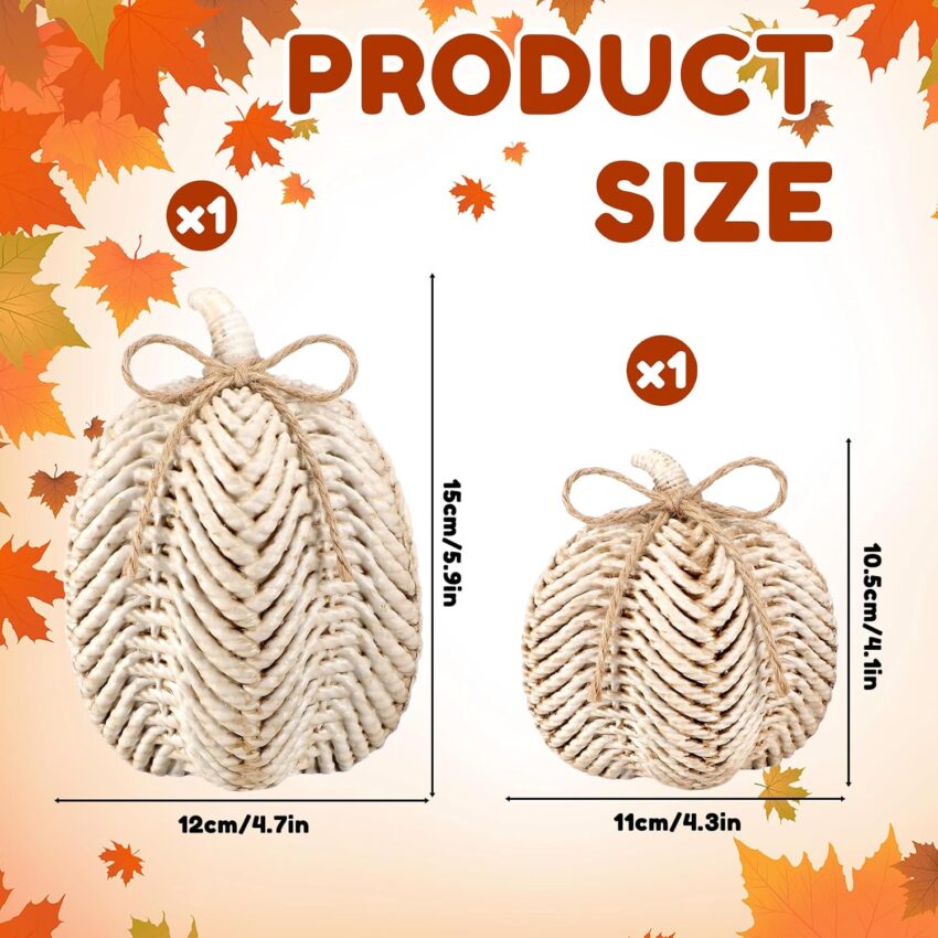 Fall Pumpkin Resin White Rattan Autumn Harvest Decor Set